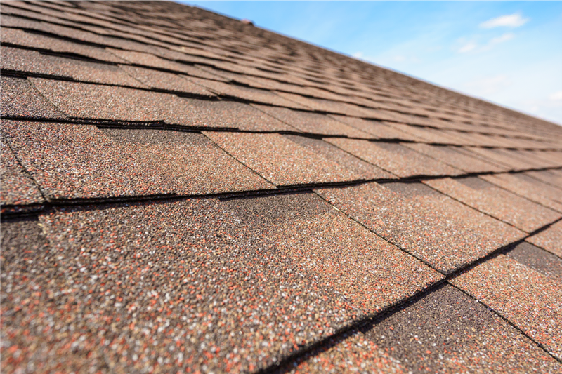 A close up of a brown shingled roof.