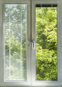 A white window with blinds and trees in the background, showcasing popular window types.