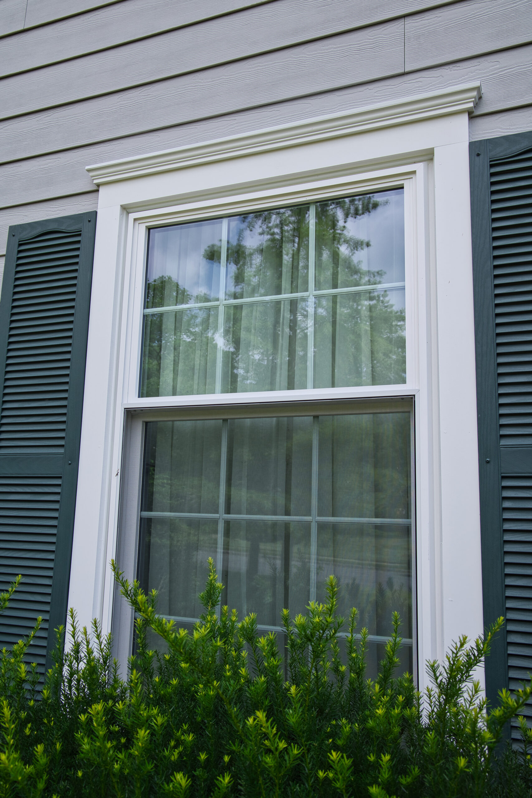 A window with green shutters.